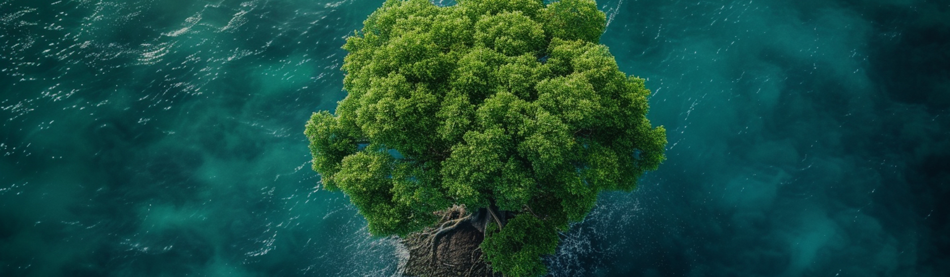 নিংবো আইকাং অ্যালুমিনিয়াম ফয়েল টেকনোলজি কোং, লিমিটেড